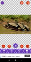 Frog, Turtle Wallpapers screenshot 3