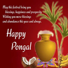 Happy Pongal: Greeting, Photo  icon