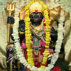 Shani: All in one আইকন