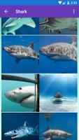 Shark, Whale Wallpapers screenshot 2