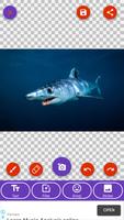 Shark, Whale Wallpapers screenshot 3