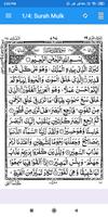 Surah Mulk plakat