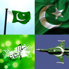 Pakistan Flag Wallpaper: Flags icono