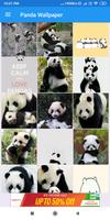 برنامه‌نما Panda HD Wallpapers عکس از صفحه