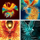 Phoenix HD Wallpapers APK