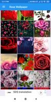 Rose HD Wallpapers syot layar 3