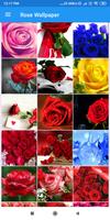 Rose HD Wallpapers 포스터