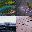 Water Drop, Water, Rain, Board APK