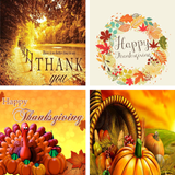 Thanksgiving HD Wallpapers