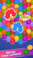 Color Hexa Master: Sort Puzzle Cartaz