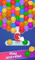 Color Hexa Master: Sort Puzzle imagem de tela 2
