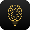 Faraday - Ibrahim Elhaga