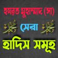 হযরত মুহাম্মাদ সাঃ সেরা হাদিস