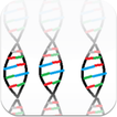 DNA Replication أيقونة