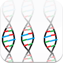 DNA Replication APK