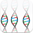DNA Replication APK