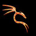 Kali Linux Guide