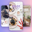آیکون‌ Dynamic Wallpaper