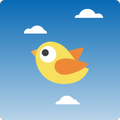 Birdy: Fly With Me