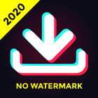 Video Downloader for TikTok No Watermark icône