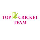 Top Cricket Team icône