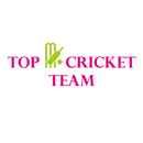 Top Cricket Team APK