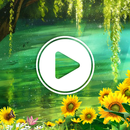 ভিডিও লাইভ ওয়ালপেপার Walledge APK