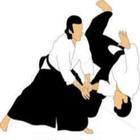 Techniques de Base Aikido ikon