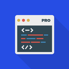 Web Development PRO (HTML,CSS) আইকন