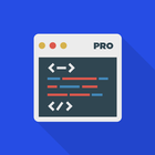 Web Development PRO (HTML,CSS) icono