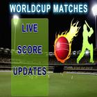 Cricket Updates icône