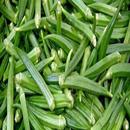 Okra-IFC-bilingual APK