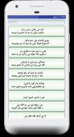 Pashto Tappay پوسٹر