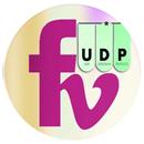 FRIENDS VPN UDP APK