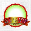 GUPTA VIP PRO
