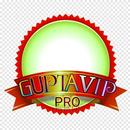 GUPTA VIP PRO APK