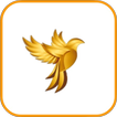 Golden Bird VPN - Fast, Secure