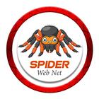 Spider web net icon