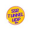 ssr tunnel udp