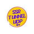 ssr tunnel udp