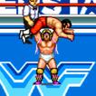 WWF SuperStars