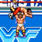 WWF SuperStars icône