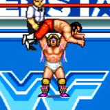 WWF SuperStars