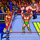 WF WrestleFest