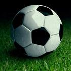 Betting Tips Pro icon