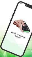 Remote for Zenith TV Affiche
