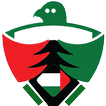 SuperVPN UAE 2020