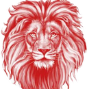 Simba SC News APK