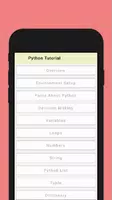 Python captura de pantalla 2
