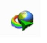 IDM (internet download menager)